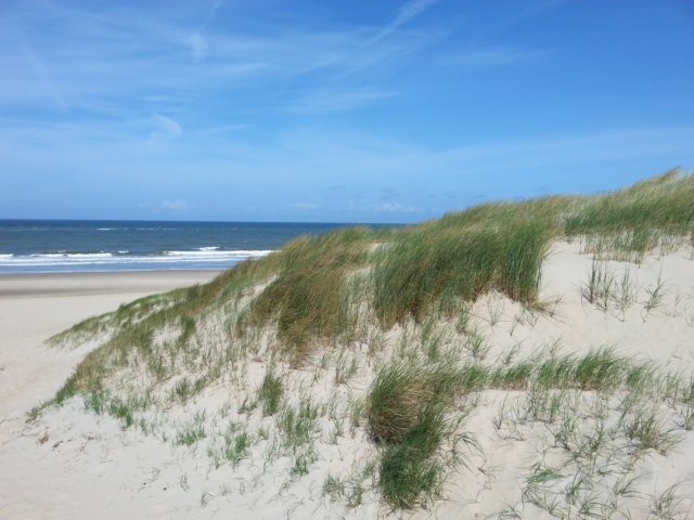 HWK Texel 155.jpg